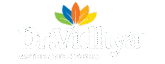 default-logo